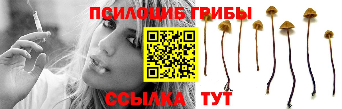 Псилоцибиновые грибы MAGIC MUSHROOMS  цены наркотик  Благодарный  Вход с VPN  Галлюциногенные грибы ЛСД 